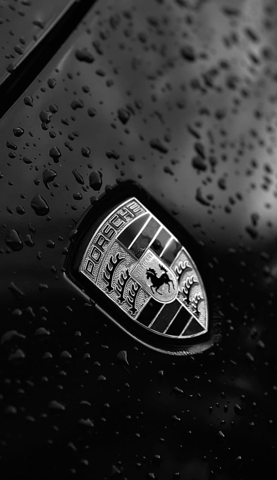 Écusson Porsche couvert de gouttes d'eau sur une carrosserie noire parfaitement lisse